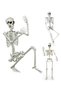 Multi Size Realistic Human Skeleton Prop 90cm/165cm/185cm, Fully Movable Joints, Skull Ornament for Halloween Decoration, Haunted House & Party Display - 5