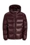 Steppjacke Steppjacke - 2