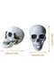 Festival Decoration Skull Skeleton Skull Head Realistic Looking Fake Skull Decor for Home Table Party Bar Decor Props Plastic - 2