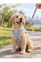 Pet Teddy Bear Patterned Plaid Chest Harness - Set Leash - 2