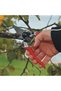 Model 4 Standard Secateurs - 3