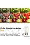 25PACK 2W S14 LED Outdoor Edison Light Bulbs for String Light Replacement, E27 Medium Screw Base, No - 8