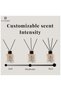 Litore Reed Diffuser - Musk Fragrance, 100ml | Long-Lasting Home Fragrance | Natural & Elegant Room - 3