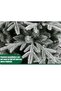 VUCATIN White Christmas Tree Snow Flocked Spruce Snowy Holiday Xmas Tree for Home Easy Assembly Meta - 3