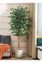 Zvezvia Artificial Ficus Trees with White Pot – 120cm/150cm/180cm Faux Plant Fake Silk Trees with Fa - 2
