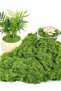 Delehehe 100g Fake Moss for Plants Indoor,Fake Moss for Crafts Preserved for DIY Decorative mossTabl