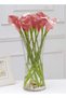 MAMATOONS Glass Vase Wide Mouth 25cm Tall Flowers Vase Decorative Centrepiece For Home Office Living - 4