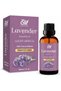 ALIF NATURALS Lavender Essential Oil - 30 ml | 100% Pure and Natural | Premium Grade Essential Oils