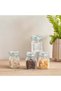 Home Box Essential 4-Piece Glass Spice Jar Set 22.3 x 8.4 x 7 cm