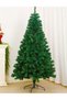 Christmas Accessory, Green