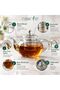 Glass Teapot with Filter, 850 ml Capacity, Transparent - 3