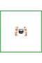 Giant African Snail Anti-Ageing Care Cream 100 ml Bezoss