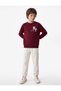 Boys Burgundy Graphic Print Crew Neck Long Sleeves Sweatshirt
