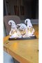 مصباح طاولة مزخرف بإضاءة LED، تصميم بإضاءة صفراء - 3