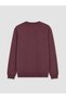 Zero Roba Collar Men's Sweatshirt from Uzg Store for Style Enthusiasts - 3