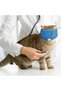 3 Pcs Cat Muzzle for Grooming, Breathable Mesh, Adjustable Set - 7