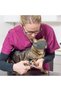 3 Pcs Cat Muzzle for Grooming, Breathable Mesh, Adjustable Set - 5