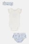 Toddlers Girl 3 Pieces Floral Pattern Bodysuit, Panty And Headband Set, Multicolor - 3