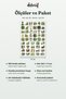 Forest Landscape Sticker Set 100 Pieces - Pine Trees Nature Tranquility Watercolor Agenda Journal Sticker - 8