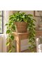 Medium Wicker Basket سلة خوص وسط - 2