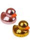 Glammy Duck Assorted - 2