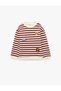 Cat Embroidered Shaded Crew Neck Long Sleeve Oversized Striped Sweatshirt
