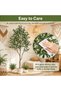 Adjustable Branch Artificial Olive Tree 150cm, White Pot, DIY Shaping Faux Plant, Silk Olive Foliage, No Water or Care, Home Styling Accent for Dining Room Study Bedroom Corner - 4