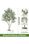 Faux Olive Tree 120cm in White Ceramic Pot, Bendable Stems, Pet-Safe Artificial Plant, Lifelike Foliage, Zero Care, Ideal for Kitchen Corner Bathroom Shelf Dorm Room Greenery - 6