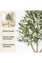 Adjustable Branch Artificial Olive Tree 150cm, White Pot, DIY Shaping Faux Plant, Silk Olive Foliage, No Water or Care, Home Styling Accent for Dining Room Study Bedroom Corner - 5