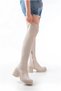 Women's Long Thick Stretch Winter Heeled Boots