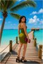 V Evening Dress Mini Collar Strap Slit Dress - 4