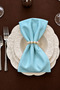 Turquoise Set of 12 Fabric Napkins 45X45Cm |   25 Pieces with Pearl Ring and Bag |   Guest House and Dowry Tableware Presentation Napkin - 2