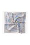 Twill Silk Scarf Botanical Gray - 5