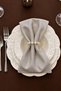 Stone 12-Piece Fabric Napkin Set 45X45Cm |   25 Pieces with Pearl Ring and Bag |   Guest House and Dowry Tableware Presentation Napkin - 3