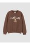 Özmarka New Season Brown Printed Boys' Sweatshirt