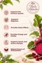 Beet Kvass 300ml - Fermentation with Kefir Juice - Naturally Fermented (2-Piece Pet Bottle) - 5