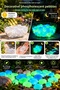 50 Pieces of Phosphorescent Pebbles Green Glowing in the Dark Decorative Garden Flower Pot Landscape Stones - 3