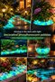 50 Pieces of Phosphorescent Pebbles Green Glowing in the Dark Decorative Garden Flower Pot Landscape Stones - 4