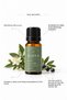 Sage Essential Oil |   100 ml - 100% Pure and Natural - 5