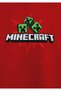 Minecraft Printed Hooded Sweatshirt 6S10188-80638 - 5