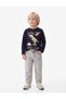 Dinosaur Printed Long Sleeve Crew Neck Cotton T-Shirt