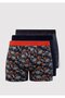 3lü Baskılı Boxer 0911409-85585