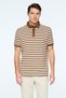 Men's Light Brown Trendy Fish Back Striped Polo Collar Dynamic Fit Tshirt