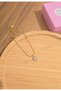 Zircon Stone Pink Heart Steel Necklace with Box - Elegant Necklace with Heart for a Gift to a Lover - 3
