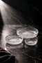 Santos - Set of 3 Glass Salad Bowls 18-23-26 cm Fruit Bowl and Serving Bowl - 5