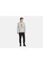 Jorletıtsnow Sweat Crew N Gray Men's Sweatshirt