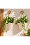 Artificial Flower Pot 2-Piece Flower Pot Basket 12X10 cm Plants and Wooden Hanging Accessories Are Not Included