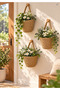 Basket 3-Piece Mini Basket Organizer (Plants and Hangers Not Included) - 2