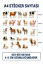 مجموعة ملصقات بتصميم حيوانات لطيفة - مقاومة للماء - 80 قطعة (4 أوراق) - 3