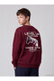 Peak New Season Burgundy Crew Neck Boys' T-Shirt